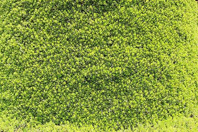 《瑞奇与叮当：时空跳转》国行版宣布4月12日发售 定价299元