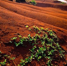 《炼金要塞》正式登陆Steam好评炼金术塔防新游