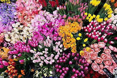 《羊蹄山之魂》19分钟深度实机展示首曝 自由探索虾夷之地