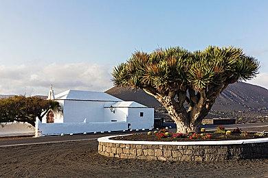 法国任天堂发布蛇叔盯萨姆斯屁股图片 随后火速删除