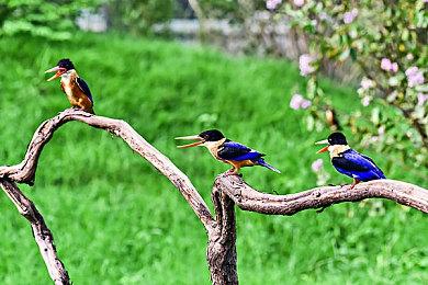 星舰冒险模拟游戏《奥德赛光之越》将于8月22日开启Steam抢先体验